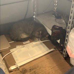 Meet your Posher, Paul